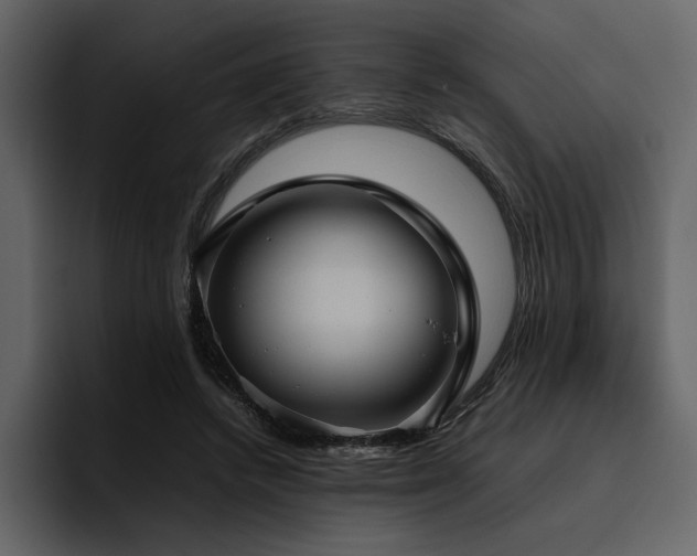 X0000095950448200801111353
