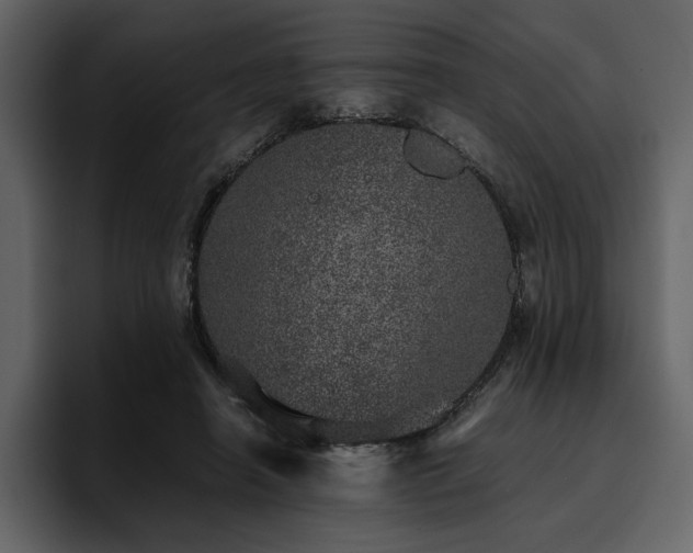 X0000095950450200801111353