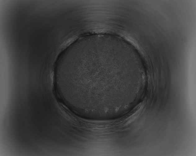 X0000095950454200801111353