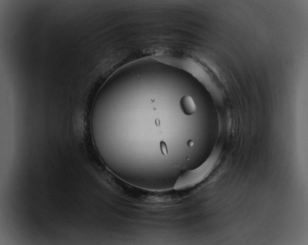 X0000095950455200801111353