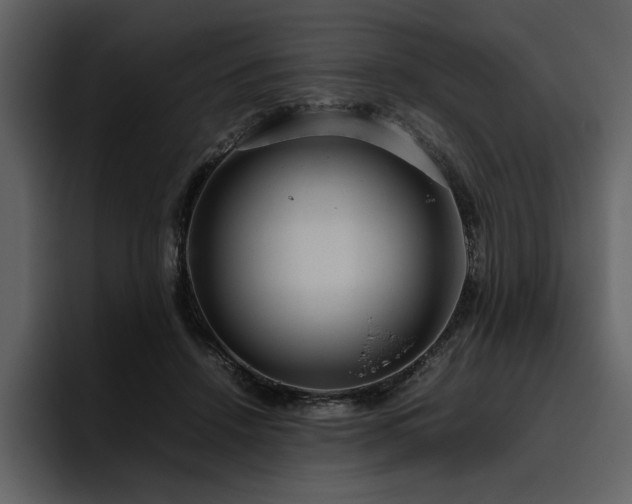 X0000095950456200801111353
