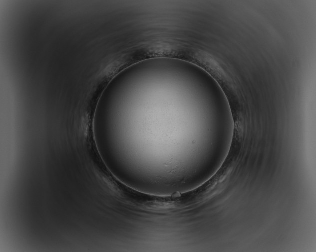 X0000095950458200801111353