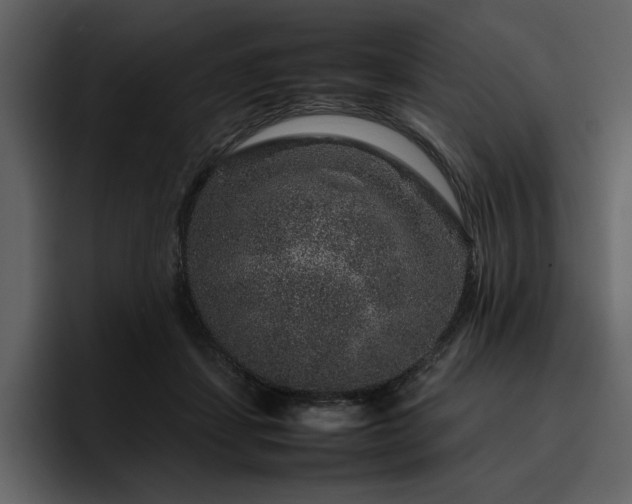 X0000095950459200801111353