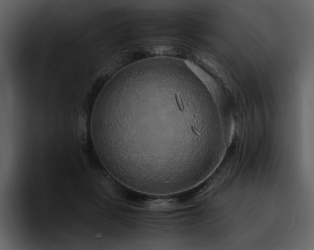 X0000095950461200801111353