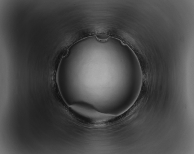 X0000095950462200801111353