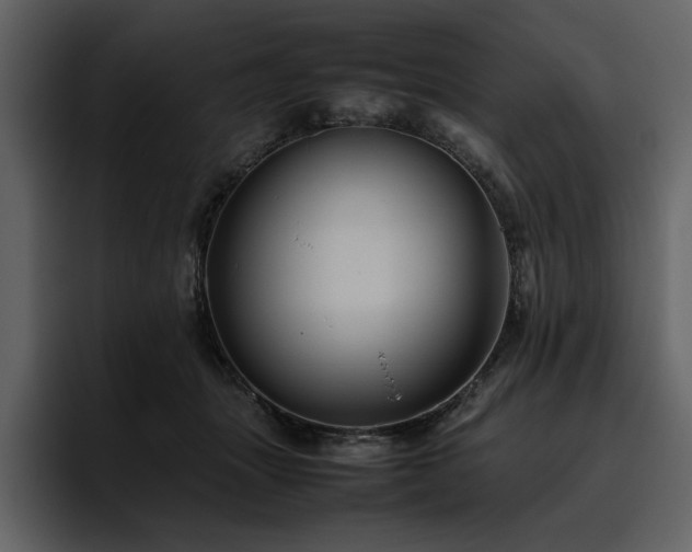 X0000095950463200801111353