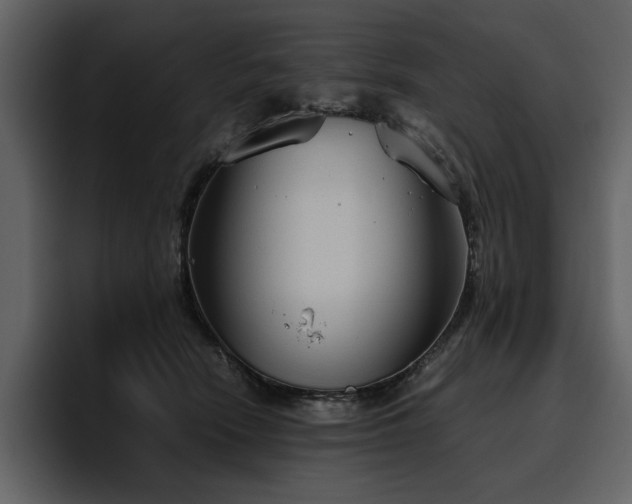 X0000095950466200801111353