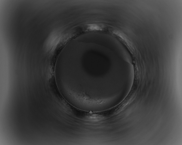 X0000095950467200801111353
