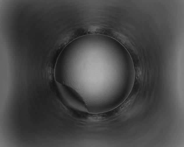 X0000095950470200801111353