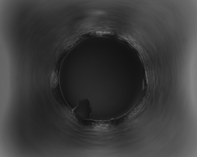 X0000095950471200801111353