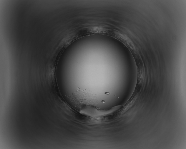 X0000095950473200801111353