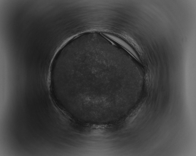 X0000095950484200801111353