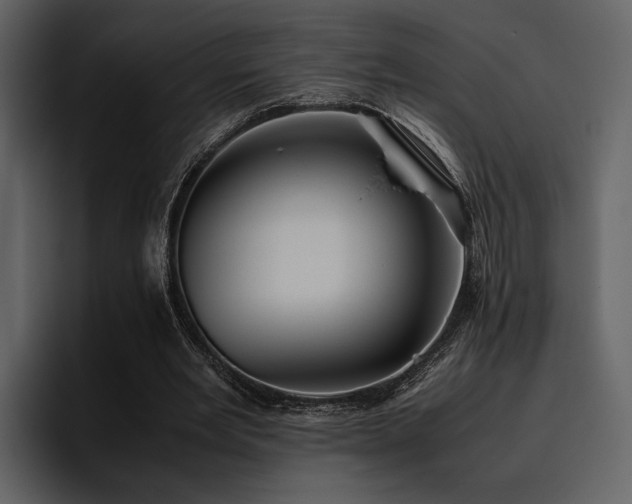 X0000095950485200801111353