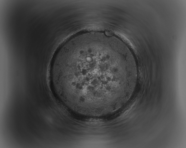X0000095950487200801111353