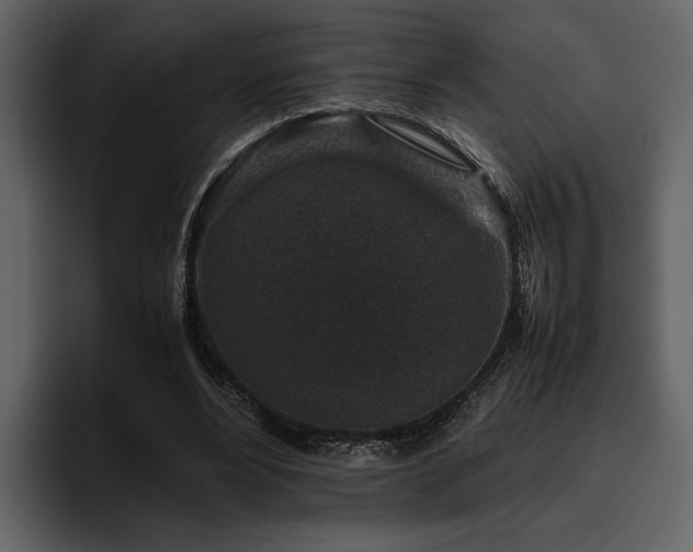 X0000095950488200801111353