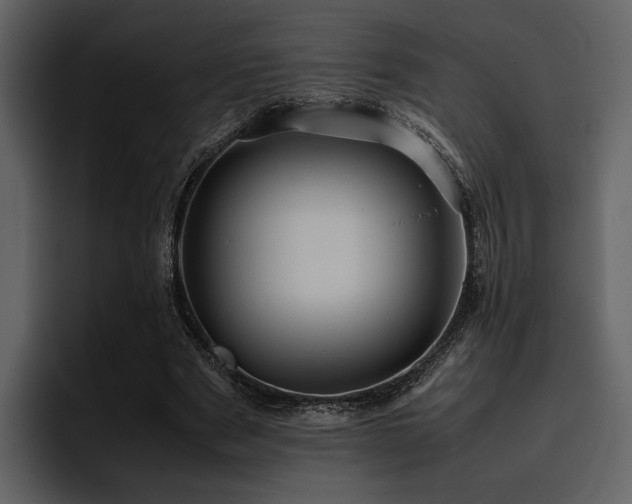 X0000095950489200801111353