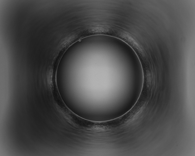 X0000095950490200801111353