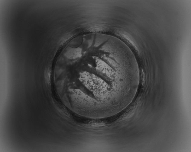 X0000095950491200801111353