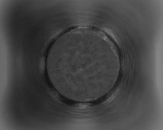 X0000095950495200801111353