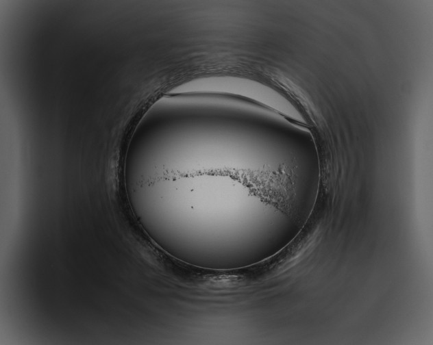 X0000095950497200801111353