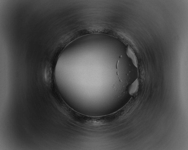 X0000095950498200801111353