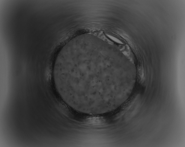 X0000095950499200801111353