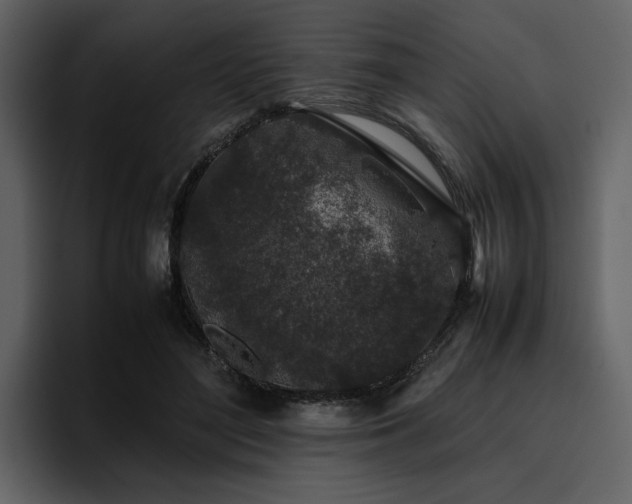 X0000095950500200801111353