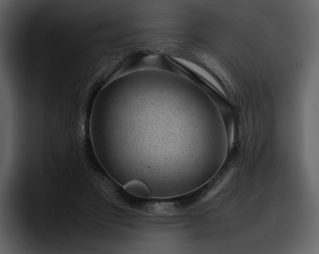 X0000095950501200801111352