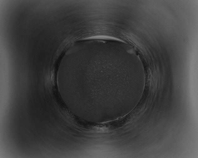 X0000095950502200801111352