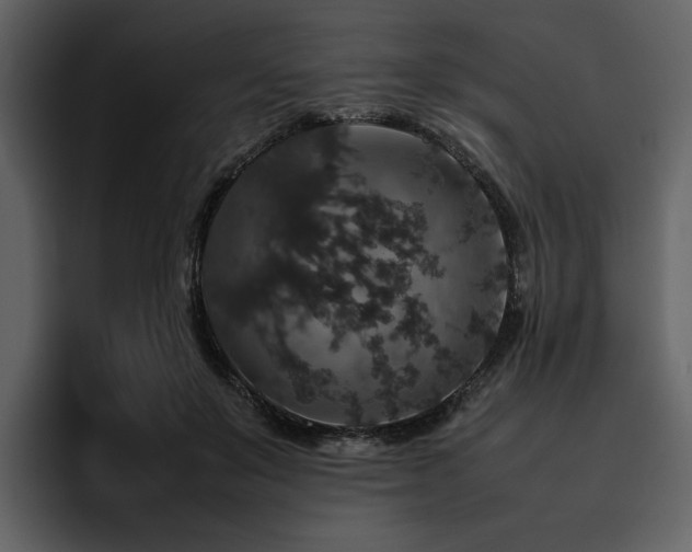 X0000095950503200801111352