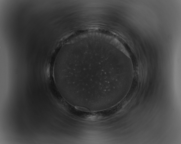 X0000095950504200801111352