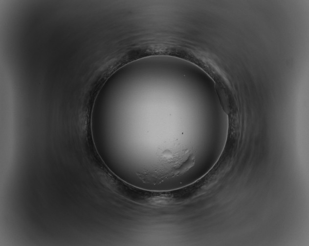 X0000095950505200801111352