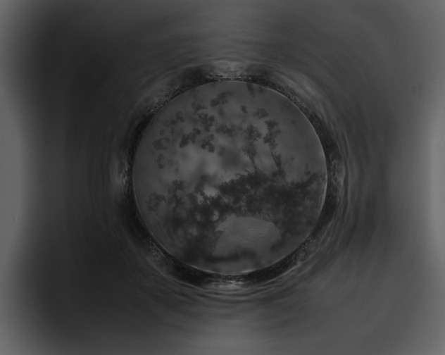 X0000095950507200801111352