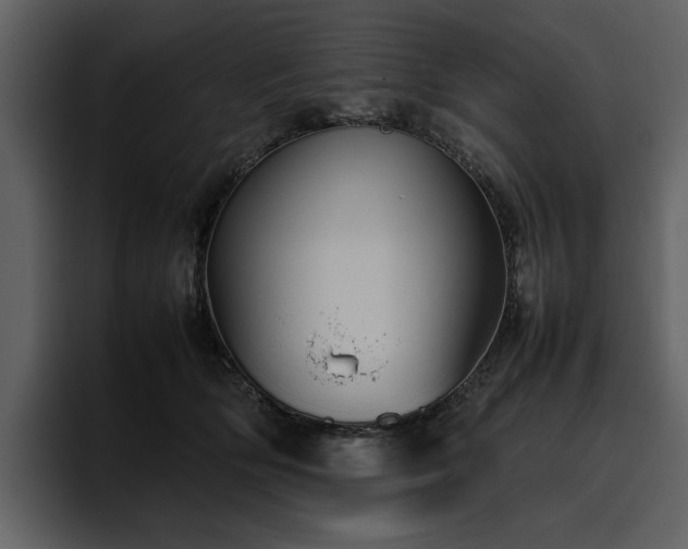 X0000095950514200801111352