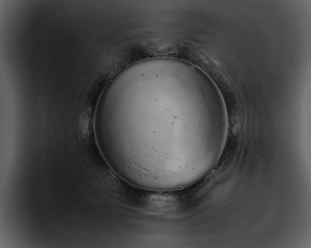 X0000095950515200801111352