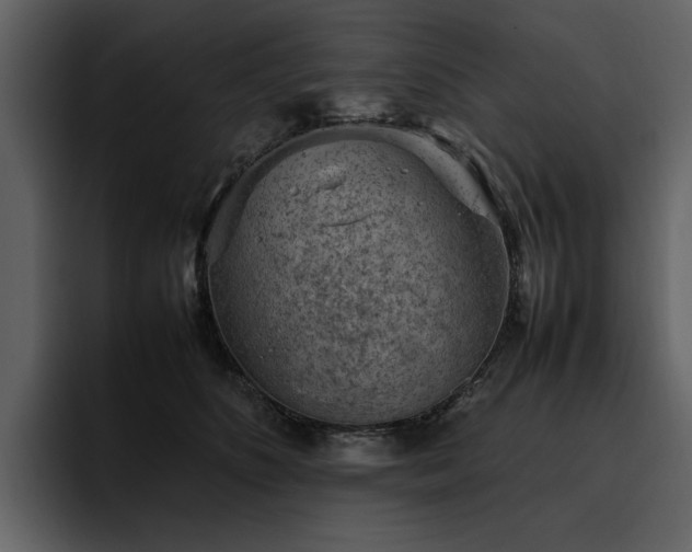 X0000095950516200801111352