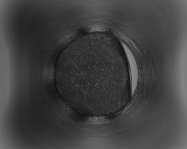 X0000095950517200801111352