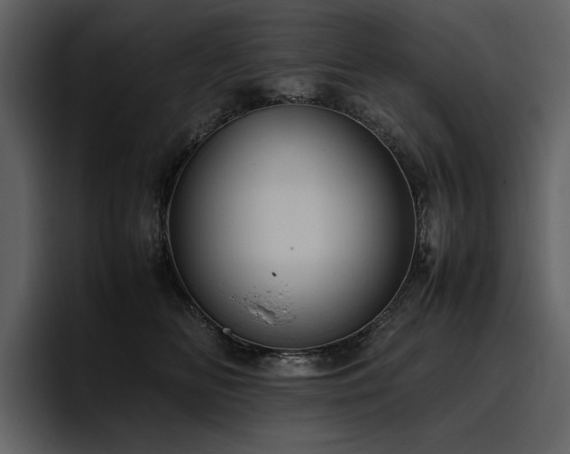 X0000095950518200801111352