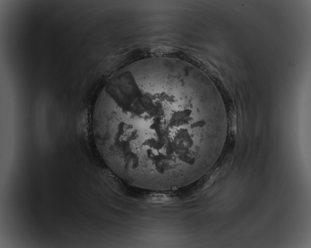 X0000095950519200801111352