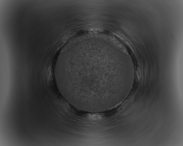 X0000095950520200801111352