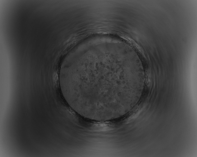 X0000095950523200801111352