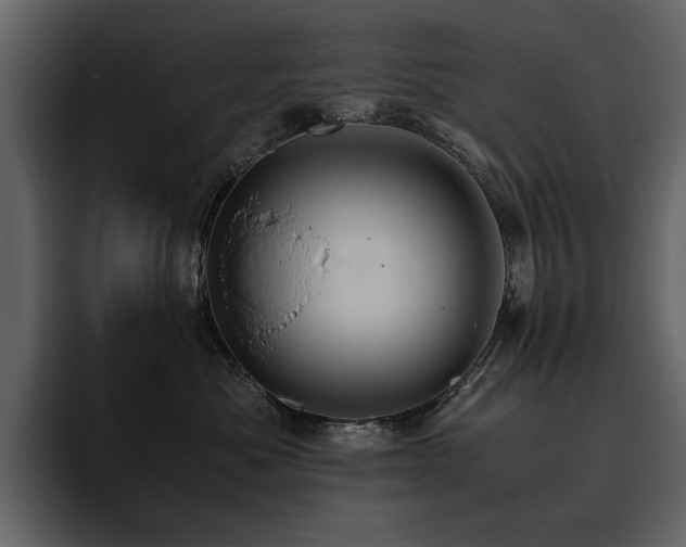 X0000095950525200801111352