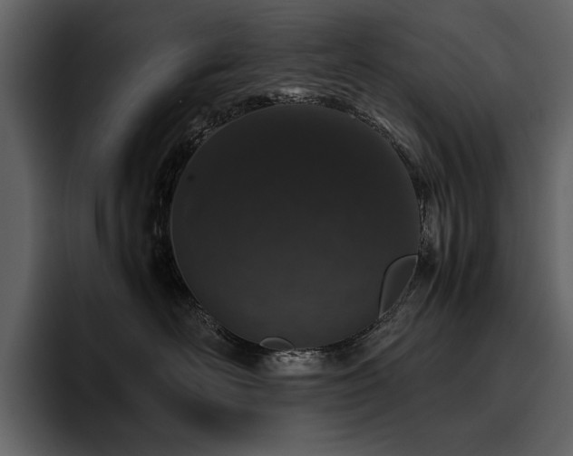 X0000095950526200801111352