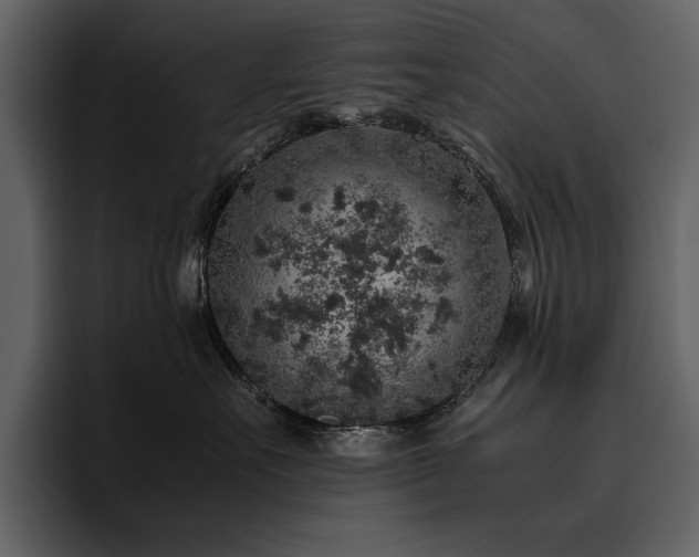 X0000095950527200801111352