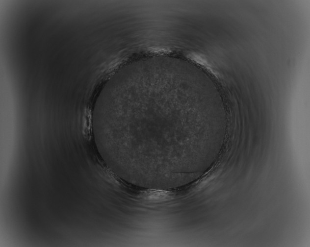 X0000095950528200801111352