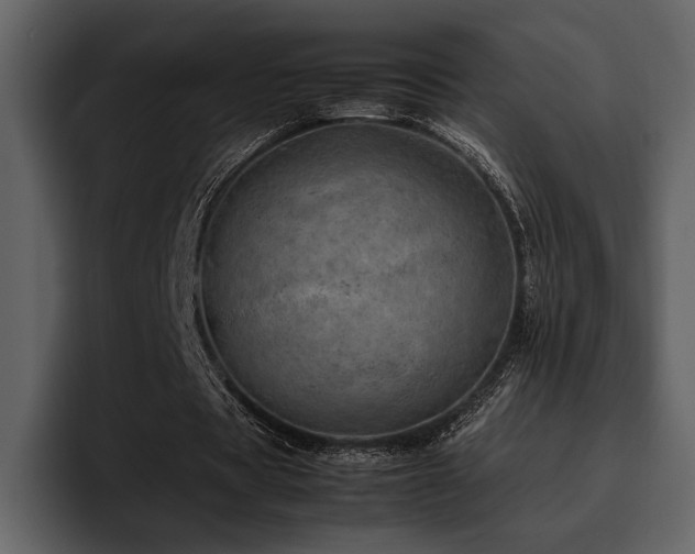 X0000095950529200801111352