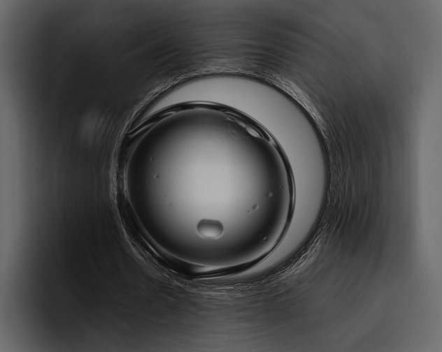 X0000095950530200801111352