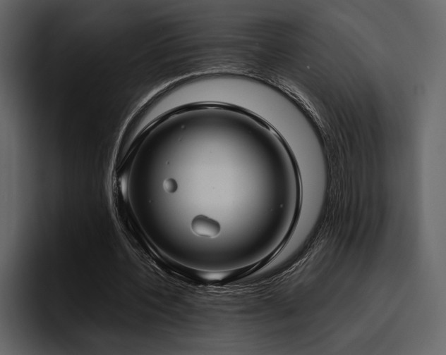 X0000095950532200801111352