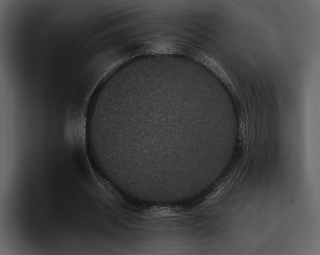 X0000095950534200801111352