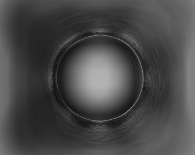 X0000095950535200801111352